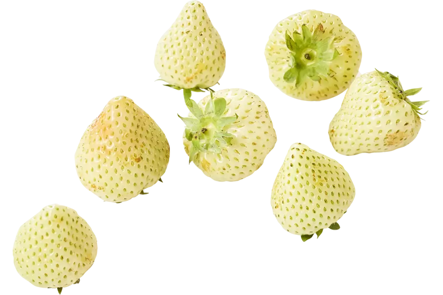 Aardbeien ONRIJP 500gr stuk 1